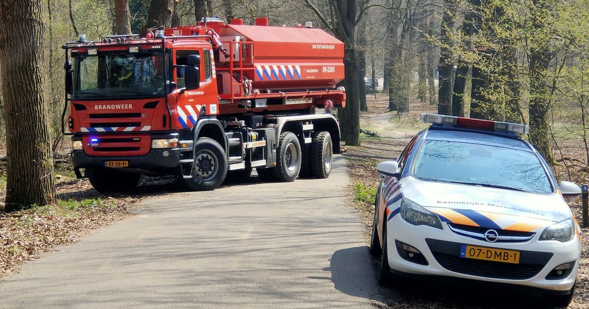 Grotere kans op natuurbranden door aanhoudende droogte