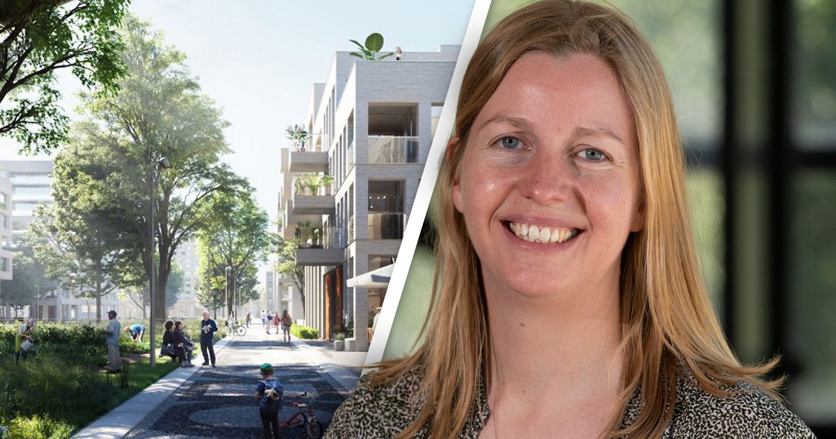 Nieuwbouwwijk Cartesius moet antwoord geven op groeiend hitteprobleem